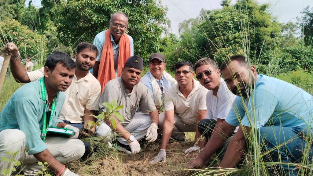 मिथिलामा पाँच सयभन्दा बढी बिरुवा रोपियो